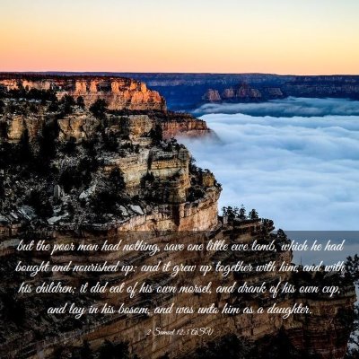 Picture 03 - 2 Samuel 12:3 ASV - but the poor man had nothing, save one little ewe - Bible Verse Picture