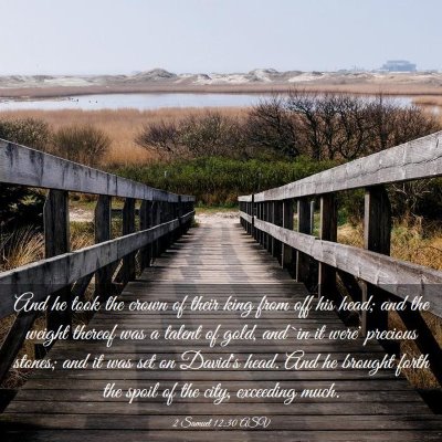 Picture 03 - 2 Samuel 12:30 ASV - And he took the crown of their king from off his - Bible Verse Picture