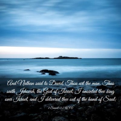 Picture 03 - 2 Samuel 12:7 ASV - And Nathan said to David, Thou art the man. Thus - Bible Verse Picture