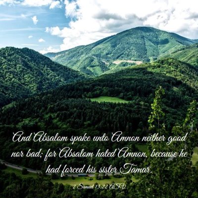 Picture 03 - 2 Samuel 13:22 ASV - And Absalom spake unto Amnon neither good nor - Bible Verse Picture
