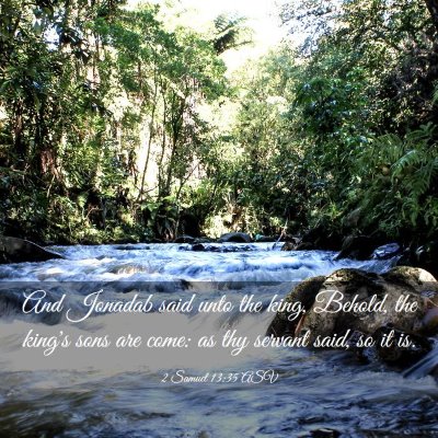 Picture 03 - 2 Samuel 13:35 ASV - And Jonadab said unto the king, Behold, the - Bible Verse Picture