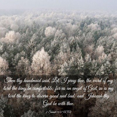 Picture 03 - 2 Samuel 14:17 ASV - Then thy handmaid said, Let, I pray thee, the - Bible Verse Picture