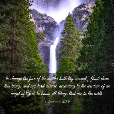Picture 03 - 2 Samuel 14:20 ASV - to change the face of the matter hath thy servant - Bible Verse Picture