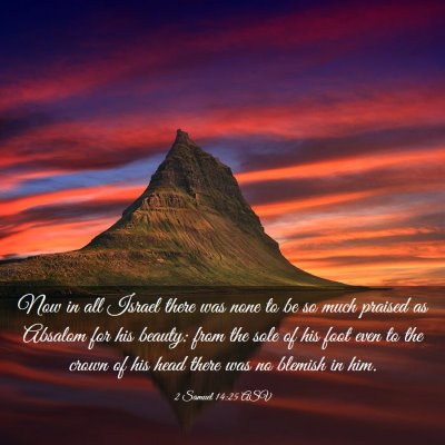 Picture 03 - 2 Samuel 14:25 ASV - Now in all Israel there was none to be so much - Bible Verse Picture