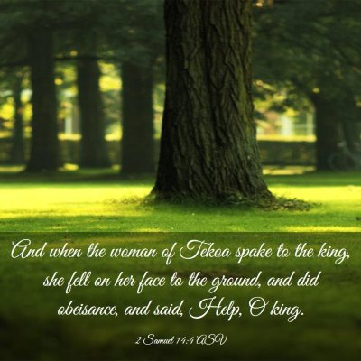 Picture 03 - 2 Samuel 14:4 ASV - And when the woman of Tekoa spake to the king, - Bible Verse Picture