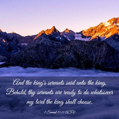 Picture 03 - 2 Samuel 15:15 ASV - And the king's servants said unto the king, - Bible Verse Picture