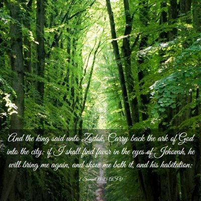 Picture 03 - 2 Samuel 15:25 ASV - And the king said unto Zadok, Carry back the ark - Bible Verse Picture