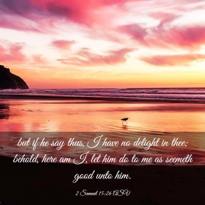 Picture 03 - 2 Samuel 15:26 ASV - but if he say thus, I have no delight in thee; - Bible Verse Picture