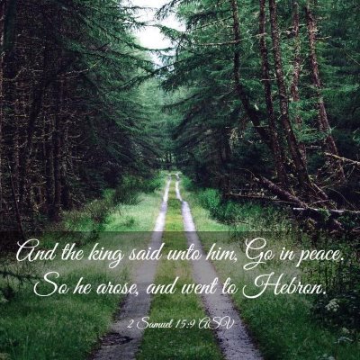 Picture 03 - 2 Samuel 15:9 ASV - And the king said unto him, Go in peace. So he - Bible Verse Picture