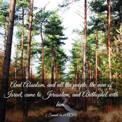 Picture 03 - 2 Samuel 16:15 ASV - And Absalom, and all the people, the men of - Bible Verse Picture