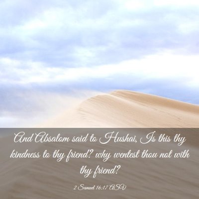 Picture 03 - 2 Samuel 16:17 ASV - And Absalom said to Hushai, Is this thy kindness - Bible Verse Picture