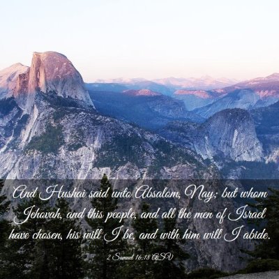 Picture 03 - 2 Samuel 16:18 ASV - And Hushai said unto Absalom, Nay; but whom - Bible Verse Picture
