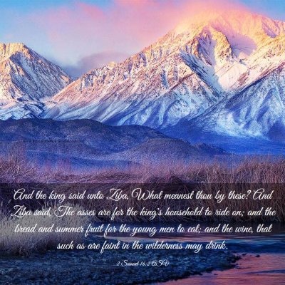 Picture 03 - 2 Samuel 16:2 ASV - And the king said unto Ziba, What meanest thou by - Bible Verse Picture