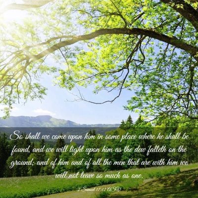 Picture 03 - 2 Samuel 17:12 ASV - So shall we come upon him in some place where he - Bible Verse Picture