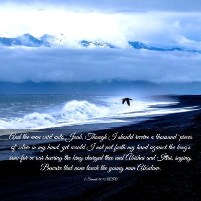Picture 03 - 2 Samuel 18:12 ASV - And the man said unto Joab, Though I should - Bible Verse Picture