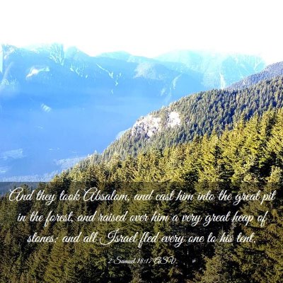 Picture 03 - 2 Samuel 18:17 ASV - And they took Absalom, and cast him into the - Bible Verse Picture