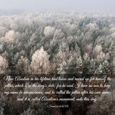 Picture 03 - 2 Samuel 18:18 ASV - Now Absalom in his lifetime had taken and reared - Bible Verse Picture