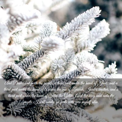Picture 03 - 2 Samuel 18:2 ASV - And David sent forth the people, a third part - Bible Verse Picture