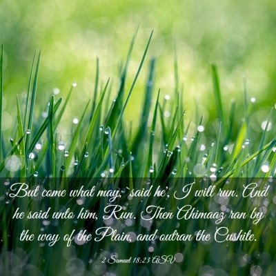Picture 03 - 2 Samuel 18:23 ASV - But come what may, `said he', I will run. And he - Bible Verse Picture