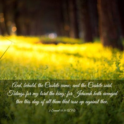 Picture 03 - 2 Samuel 18:31 ASV - And, behold, the Cushite came; and the Cushite - Bible Verse Picture