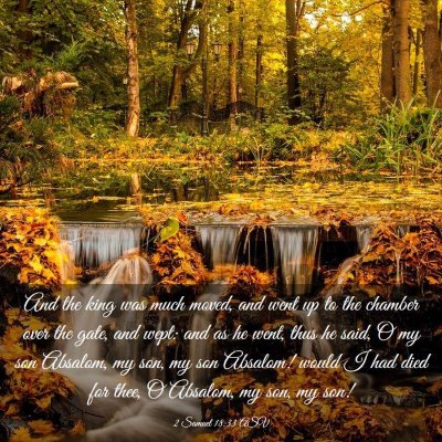 Picture 03 - 2 Samuel 18:33 ASV - And the king was much moved, and went up to the - Bible Verse Picture