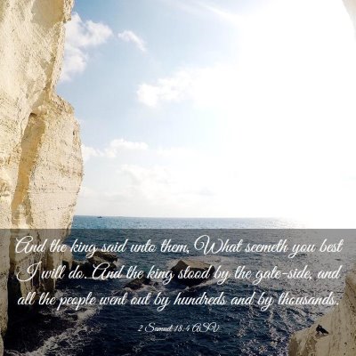 Picture 03 - 2 Samuel 18:4 ASV - And the king said unto them, What seemeth you - Bible Verse Picture