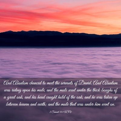 Picture 03 - 2 Samuel 18:9 ASV - And Absalom chanced to meet the servants of - Bible Verse Picture