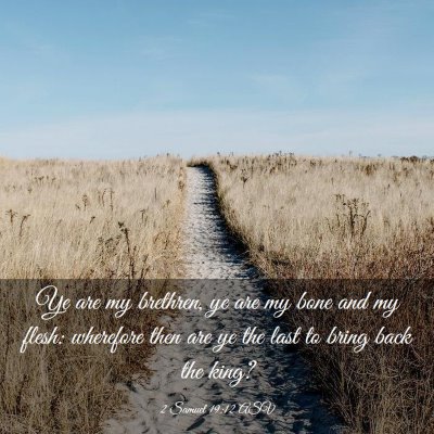 Picture 03 - 2 Samuel 19:12 ASV - Ye are my brethren, ye are my bone and my flesh: - Bible Verse Picture