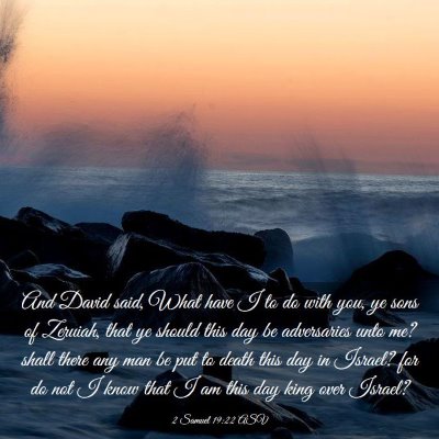 Picture 03 - 2 Samuel 19:22 ASV - And David said, What have I to do with you, ye - Bible Verse Picture