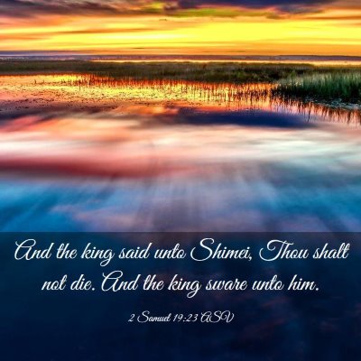 Picture 03 - 2 Samuel 19:23 ASV - And the king said unto Shimei, Thou shalt not - Bible Verse Picture