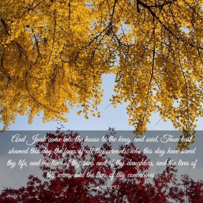 Picture 03 - 2 Samuel 19:5 ASV - And Joab came into the house to the king, and - Bible Verse Picture
