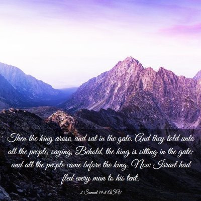 Picture 03 - 2 Samuel 19:8 ASV - Then the king arose, and sat in the gate. And - Bible Verse Picture