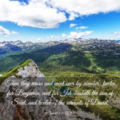 Picture 03 - 2 Samuel 2:15 ASV - Then they arose and went over by number: twelve - Bible Verse Picture