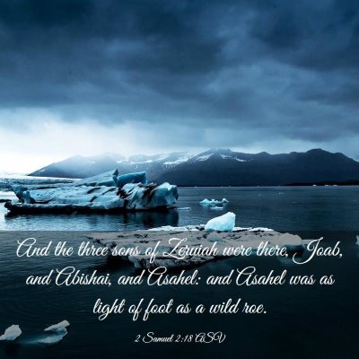 Picture 03 - 2 Samuel 2:18 ASV - And the three sons of Zeruiah were there, Joab, - Bible Verse Picture