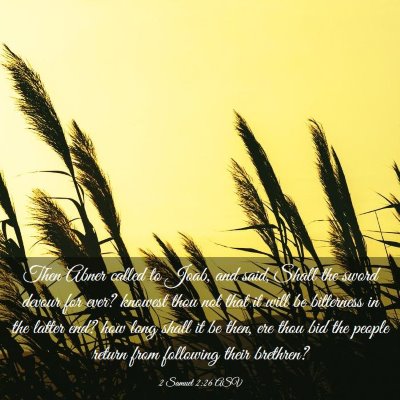Picture 03 - 2 Samuel 2:26 ASV - Then Abner called to Joab, and said, Shall the - Bible Verse Picture