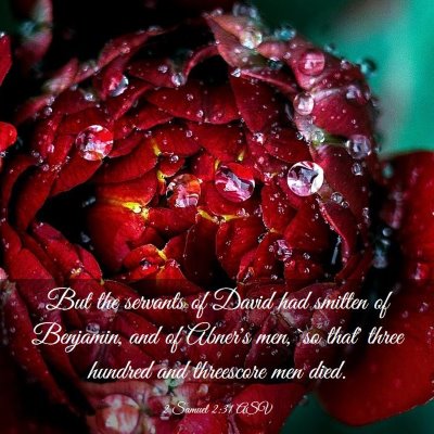 Picture 03 - 2 Samuel 2:31 ASV - But the servants of David had smitten of - Bible Verse Picture