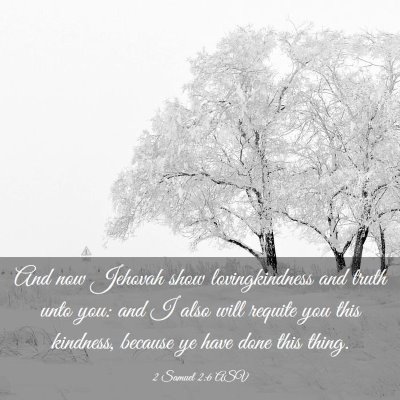 Picture 03 - 2 Samuel 2:6 ASV - And now Jehovah show lovingkindness and truth - Bible Verse Picture