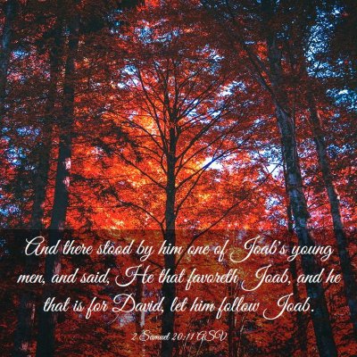 Picture 03 - 2 Samuel 20:11 ASV - And there stood by him one of Joab's young men, - Bible Verse Picture