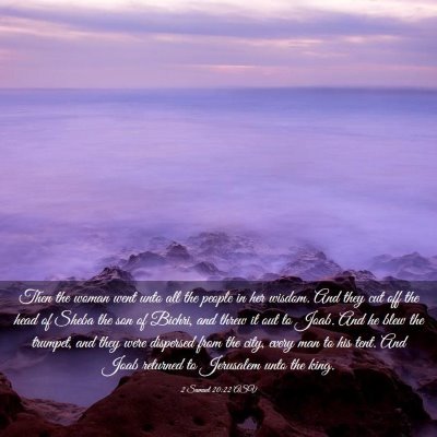 Picture 03 - 2 Samuel 20:22 ASV - Then the woman went unto all the people in her - Bible Verse Picture