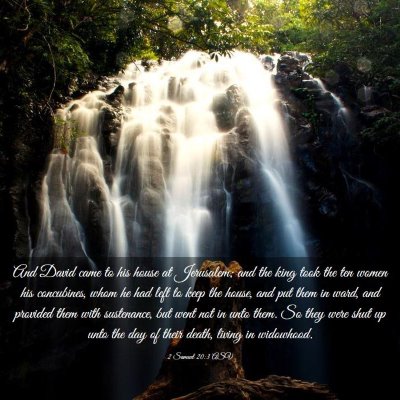 Picture 03 - 2 Samuel 20:3 ASV - And David came to his house at Jerusalem; and the - Bible Verse Picture