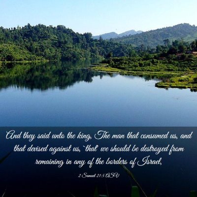 Picture 03 - 2 Samuel 21:5 ASV - And they said unto the king, The man that - Bible Verse Picture