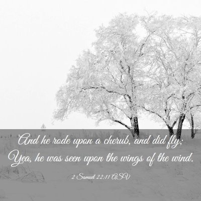 Picture 03 - 2 Samuel 22:11 ASV - And he rode upon a cherub, and did fly; Yea, he - Bible Verse Picture
