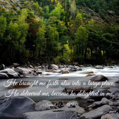 Picture 03 - 2 Samuel 22:20 ASV - He brought me forth also into a large place; He - Bible Verse Picture