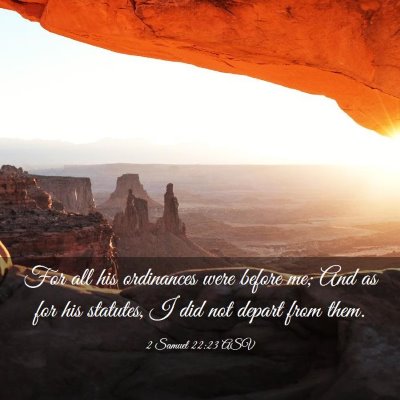 Picture 03 - 2 Samuel 22:23 ASV - For all his ordinances were before me; And as for - Bible Verse Picture