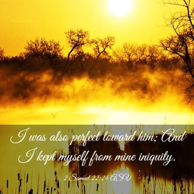 Picture 03 - 2 Samuel 22:24 ASV - I was also perfect toward him; And I kept myself - Bible Verse Picture