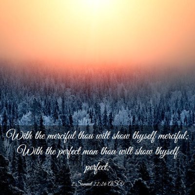 Picture 03 - 2 Samuel 22:26 ASV - With the merciful thou wilt show thyself - Bible Verse Picture