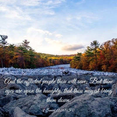 Picture 03 - 2 Samuel 22:28 ASV - And the afflicted people thou wilt save; But - Bible Verse Picture