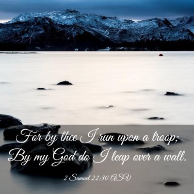 Picture 03 - 2 Samuel 22:30 ASV - For by thee I run upon a troop; By my God do I - Bible Verse Picture