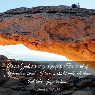Picture 03 - 2 Samuel 22:31 ASV - As for God, his way is perfect: The word of - Bible Verse Picture