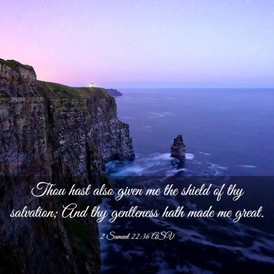 Picture 03 - 2 Samuel 22:36 ASV - Thou hast also given me the shield of thy - Bible Verse Picture